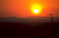 sunset silhouette desert 1980s 1990s A4 Photo Print
