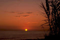 sunset silhouette ocean 1980s 1990s A4 Photo Print