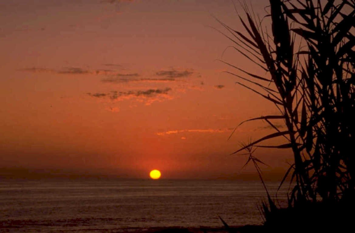 sunset silhouette ocean 1980s 1990s A4 Photo Print