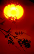 sunset silhouette tree Vintage A4 Photo Print