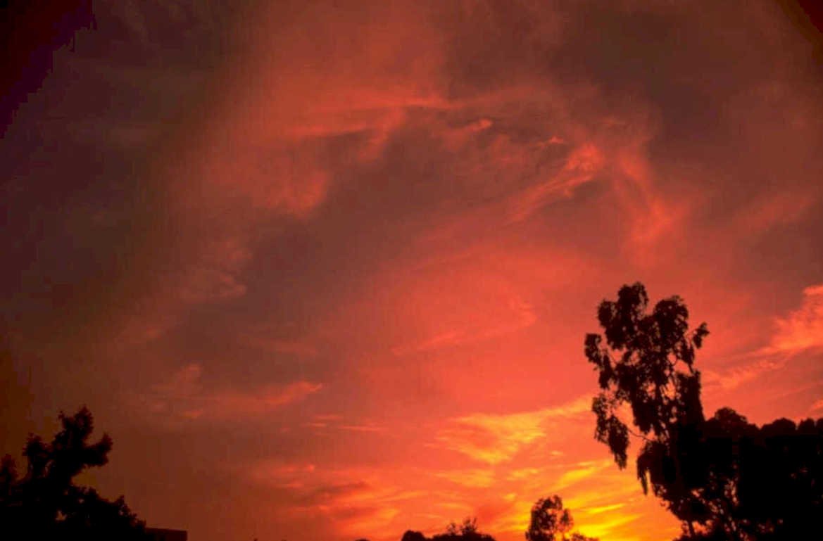 sunset sky trees 1980s 1990s A4 Photo Print