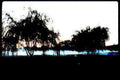 sunset trees water Vintage A4 Photo Print