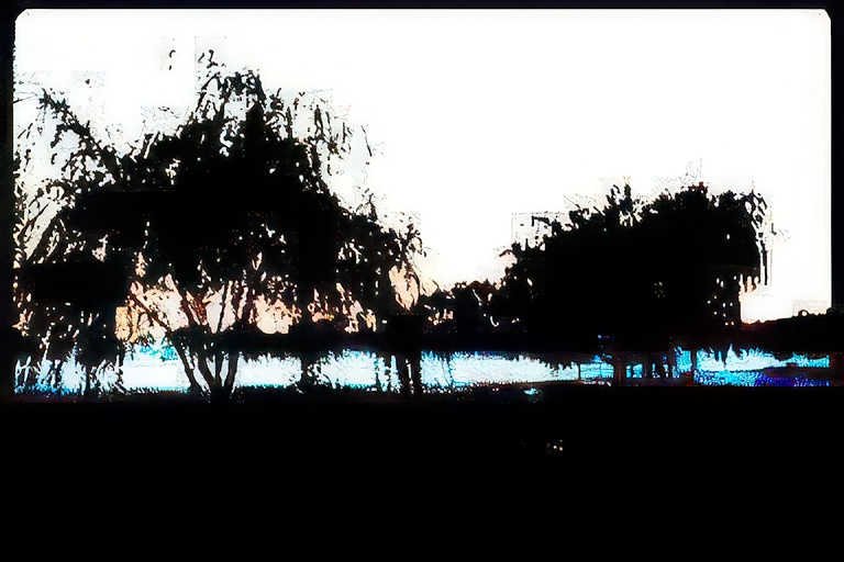 sunset trees water Vintage A4 Photo Print