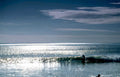surf long beach Vintage A4 Photo Print