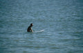 surf ocean wave 2 Vintage A4 Photo Print