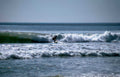 surf wave action 1 Vintage A4 Photo Print
