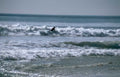 surf wave beach Vintage A4 Photo Print