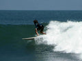 surf wave blue1980s 1990s A4 Photo Print 42