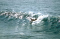 surf wave ocean 1 Vintage A4 Photo Print