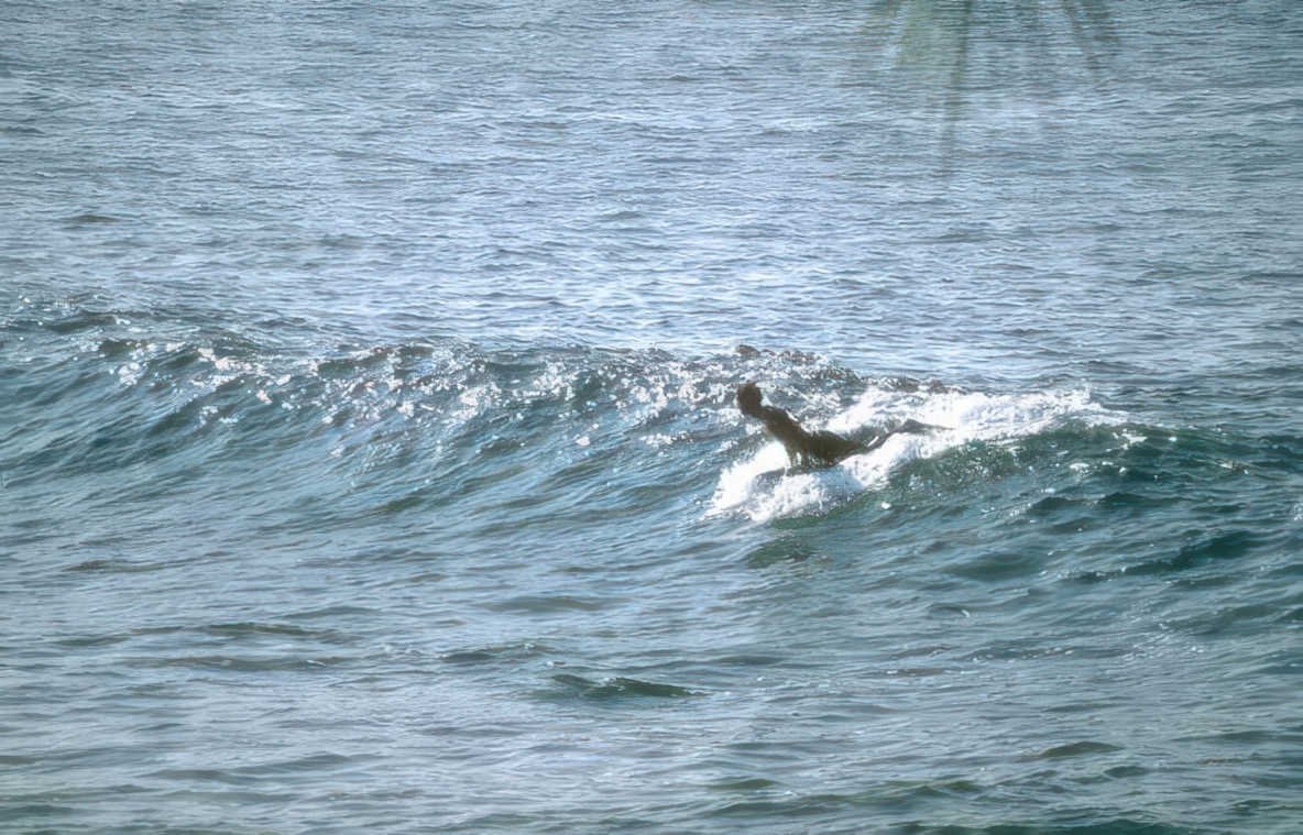 surf wave scene GIGA 2