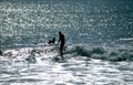 surf wave silhouetted Vintage A4 Photo Print