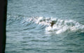 surf wave water GIGA 2