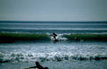 surf waves riders Vintage A4 Photo Print