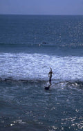 surfer paddleboard ocean 1980s 1990s A4 Photo Print