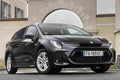 suzuki swace 2020 6932 22 Car A4 Photo Print