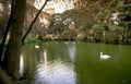 swans pond building Vintage A4 Photo Print