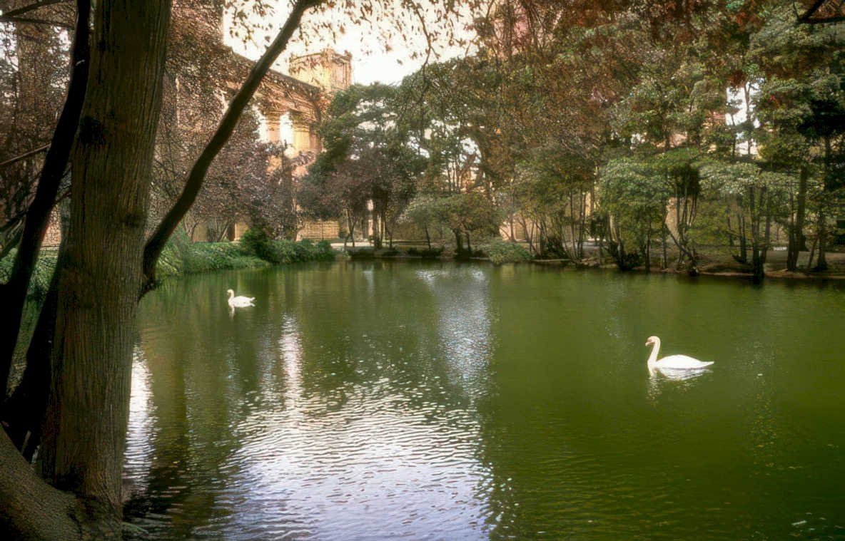 swans pond building Vintage A4 Photo Print