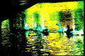 swans sunset reflection Vintage A4 Photo Print