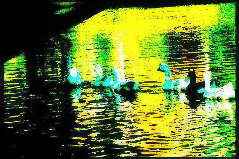 swans sunset reflection Vintage A4 Photo Print