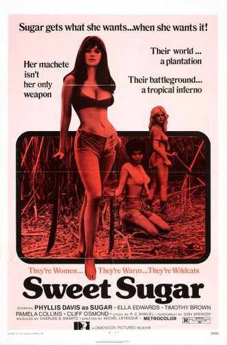 sweet sugar  01 film star poster A4 Photo Print
