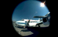 swift aircraft runway Vintage A4 Photo Print