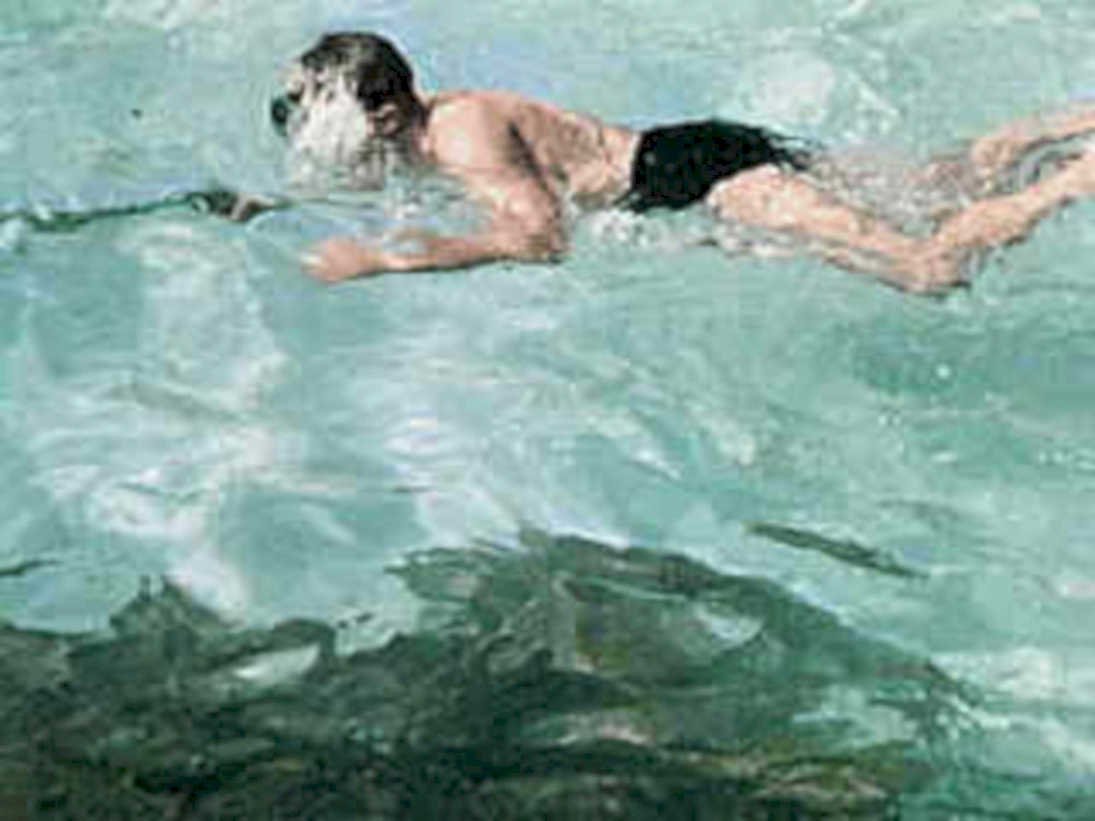 swimmer pool water1980s 1990s A4 Photo Print