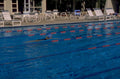 swimming pool freestyle 1980s 1990s A4 Photo Print