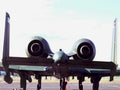 swordfish aircraft tie1980s 1990s A4 Photo Print