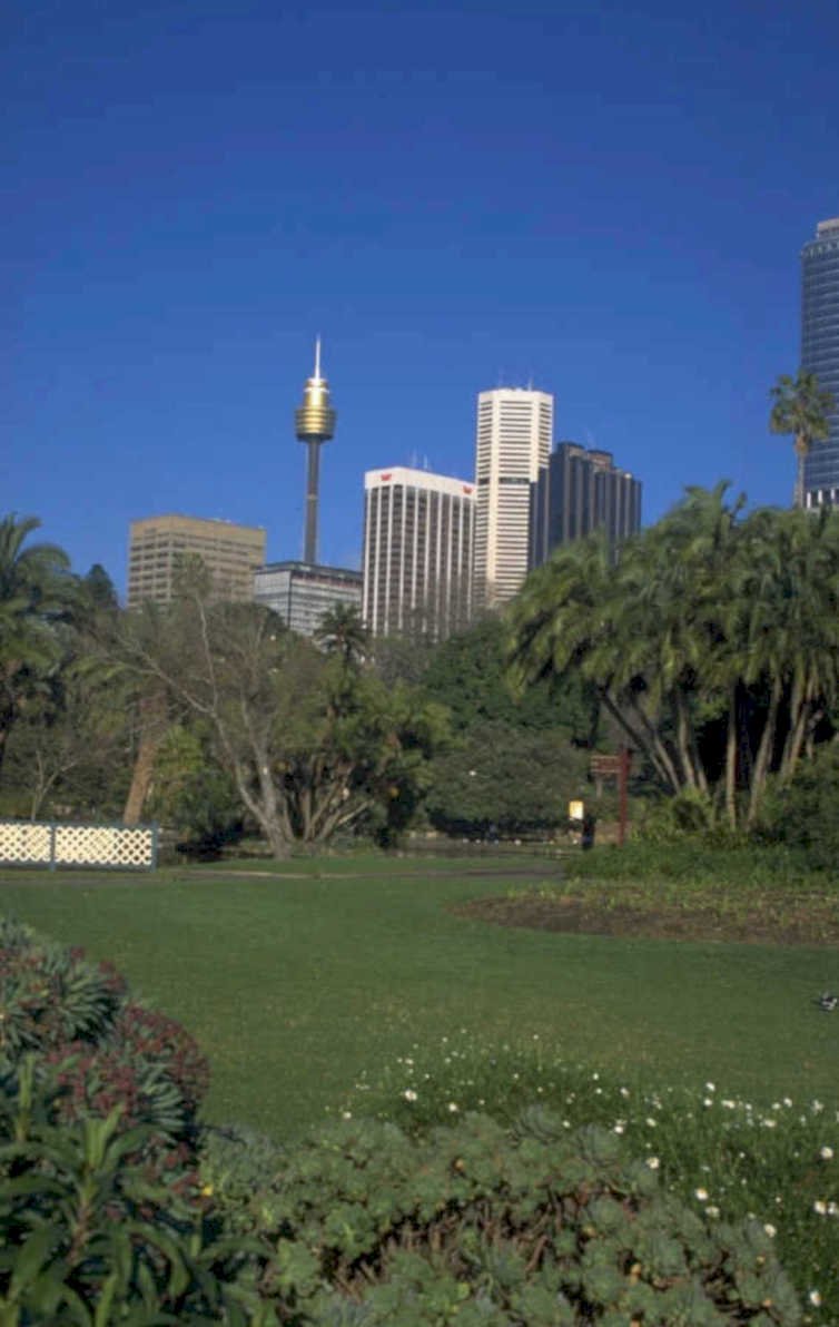 sydney skyline garden 1980s 1990s A4 Photo Print