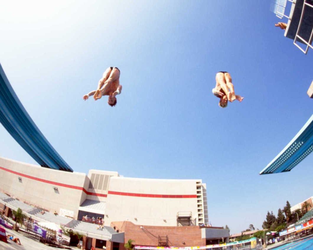 synchronized divers diving1980s 1990s A4 Photo Print