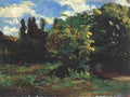 sze Forest Landscape Art A4 Photo Print