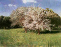 szi Blooming Apple Trees Art A4 Photo Print