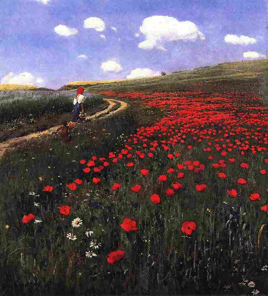 szi Poppies in the Field Art A4 Photo Print