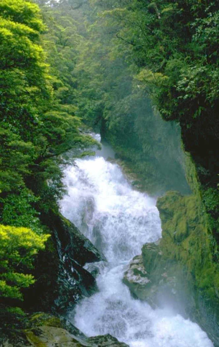 taiwan waterfall forest 1980s 1990s A4 Photo Print