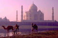 taj mahal sunrise 1980s 1990s A4 Photo Print