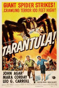 tarantula  01 film star poster A4 Photo Print