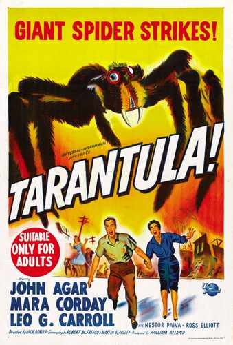 tarantula  05 film star poster A4 Photo Print