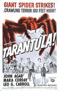 tarantula  09 film star poster A4 Photo Print