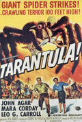 tarantula poster 02 A4 Photo Print