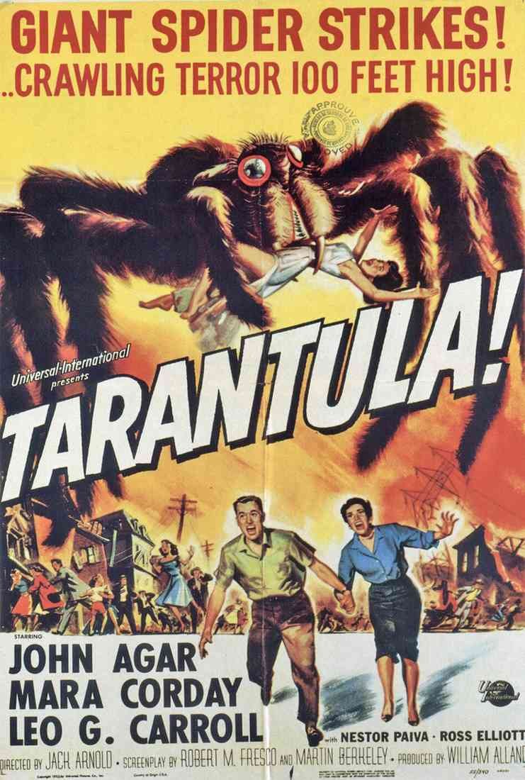 tarantula poster 02 A4 Photo Print