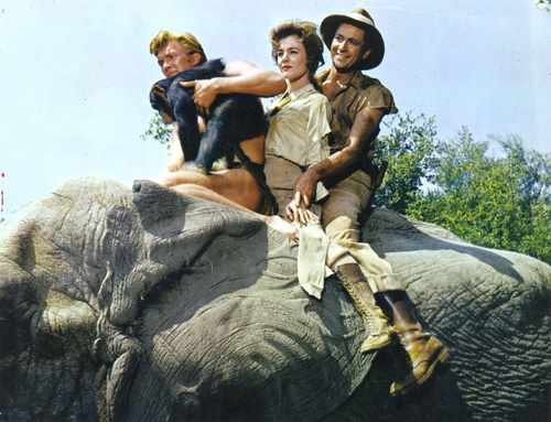 tarzan ape man 1959 c 08 film star poster A4 Photo Print