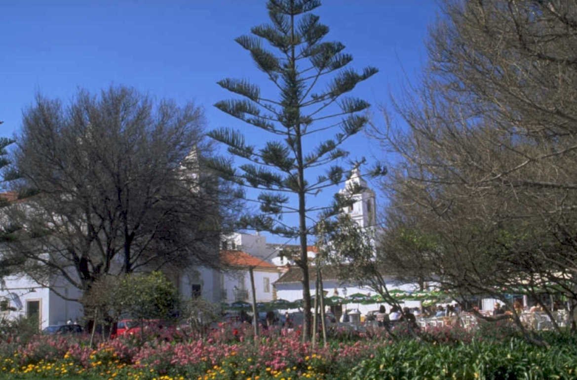 tavira spring garden 1980s 1990s A4 Photo Print