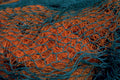 teal orange net 1980s 1990s A4 Photo Print