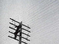 telephone pole worker1980s 1990s A4 Photo Print