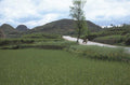 terrace hills peru 1980s 1990s A4 Photo Print