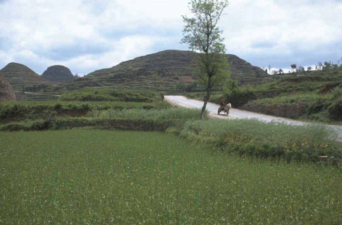 terrace hills peru 1980s 1990s A4 Photo Print