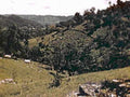 terrace hillside farm1980s 1990s A4 Photo Print