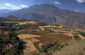 terraced farming mountains 1980s 1990s A4 Photo Print