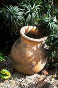 terracotta pitcher succulents1980s 1990s A4 Photo Print