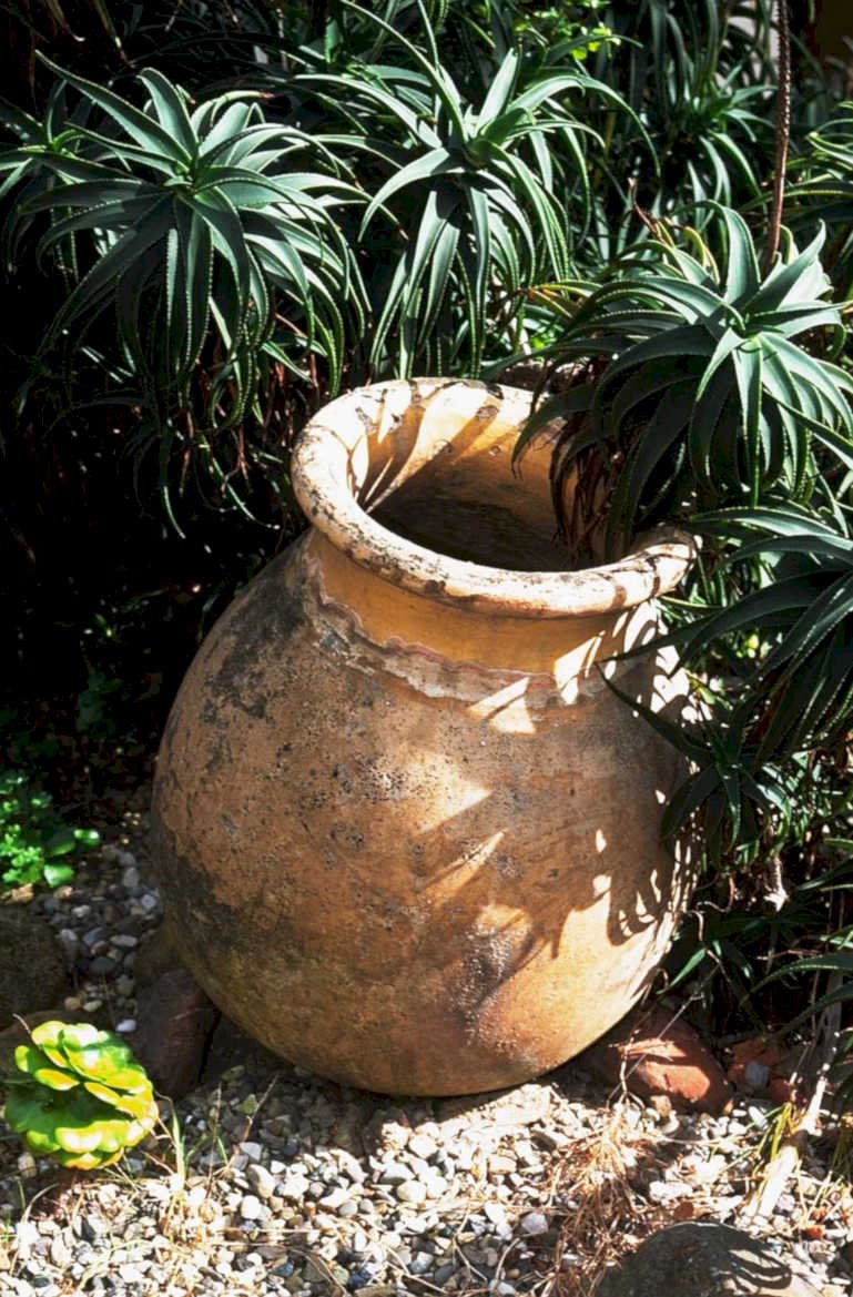 terracotta pitcher succulents1980s 1990s A4 Photo Print